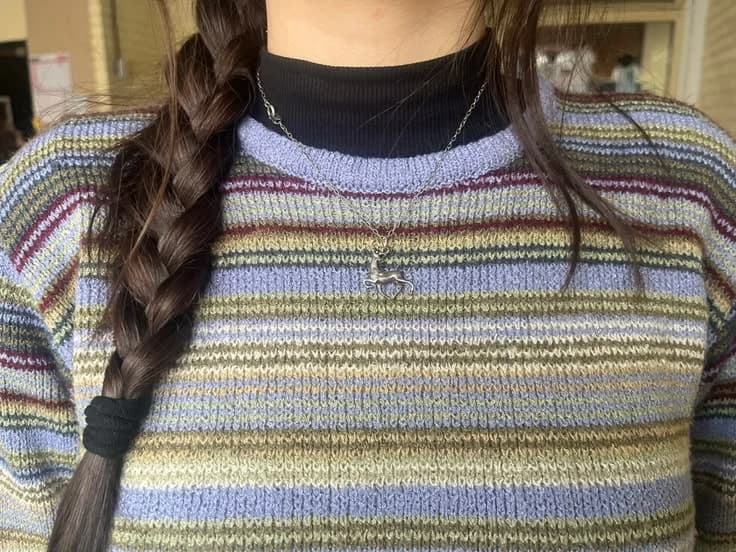Soft Stripe Crewneck in Blue / ecru